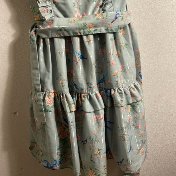 JessaKae XSmall perfect dress with Birds. - Picture 6 of 13